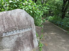 玉川上水永泉寺緑地