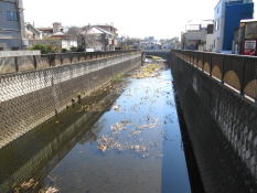 仙川