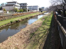 野川